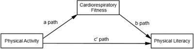 Mediation role of cardiorespiratory fitness on association of physical activity and physical literacy among 8–12 years old children: the PAK-IPPL cross-sectional study